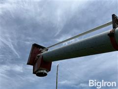 IMG_8665.jpeg