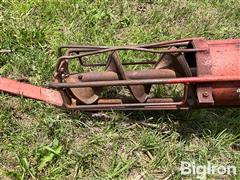 IMG_8655.jpeg