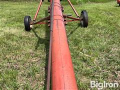 IMG_8659.jpeg
