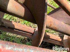 IMG_8658.jpeg