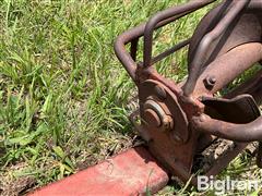 IMG_8656.jpeg