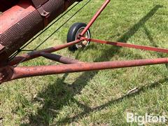 IMG_8672.jpeg
