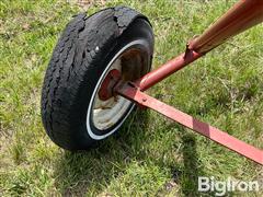 IMG_8675.jpeg