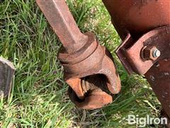 IMG_8643.jpeg