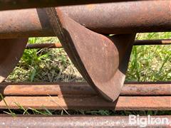 IMG_8657.jpeg