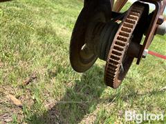 IMG_8671.jpeg