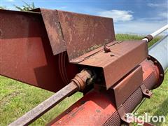 IMG_8645.jpeg