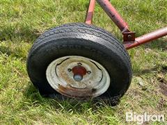 IMG_8677.jpeg