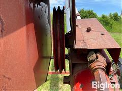 IMG_8644.jpeg