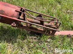 IMG_8654.jpeg