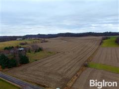 Tract #4: 60+/- Acres Dunn County, WI