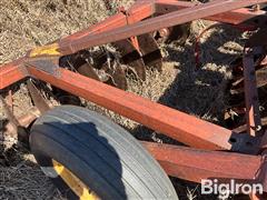 IMG_4153.jpeg