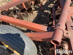 IMG_4152.jpeg