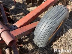 IMG_4137.jpeg