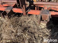 IMG_4133.jpeg