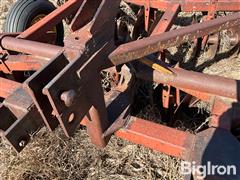 IMG_4136.jpeg
