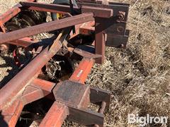 IMG_4157.jpeg
