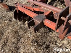 IMG_4135.jpeg
