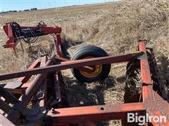 IMG_4144.jpeg