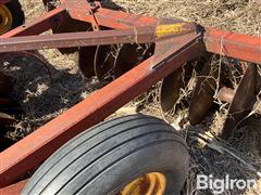 IMG_4140.jpeg