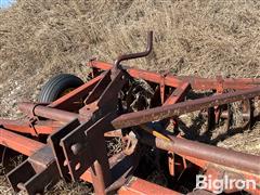 IMG_4162.jpeg