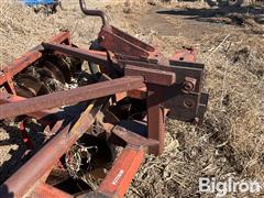IMG_4158.jpeg