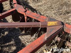 IMG_4141.jpeg