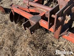 IMG_4134.jpeg