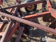 IMG_4142.jpeg