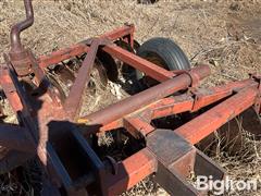 IMG_4160.jpeg