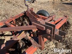 IMG_4159.jpeg