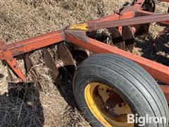 IMG_4147.jpeg