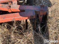 IMG_4163.jpeg