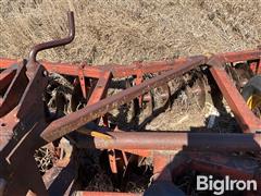 IMG_4161.jpeg