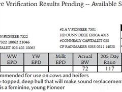 Lot 9 Pedigree.JPG