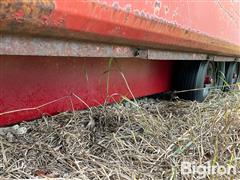 IMG_8746.jpeg