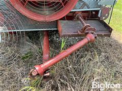 IMG_8689.jpeg
