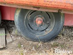 IMG_8740.jpeg