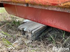 IMG_8744.jpeg