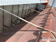 IMG_8709.jpeg
