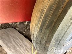 IMG_8741.jpeg
