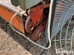 IMG_8698.jpeg
