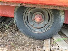 IMG_8743.jpeg