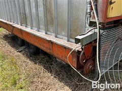 IMG_8733.jpeg