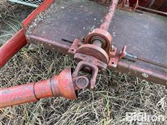 IMG_8691.jpeg