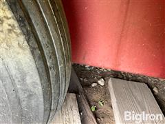 IMG_8742.jpeg