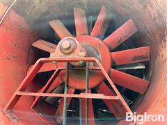 IMG_8703.jpeg
