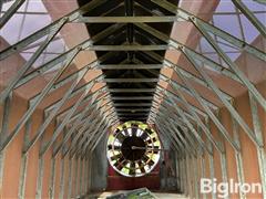 IMG_8715.jpeg