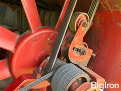 IMG_8700.jpeg