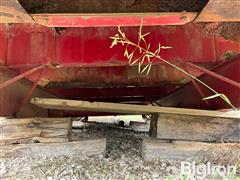 IMG_8751.jpeg